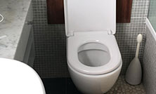 Toilet seat